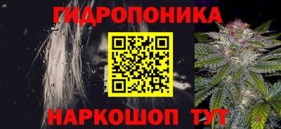 бошки Будённовск